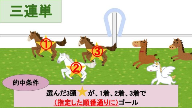 馬連 競馬 初心者