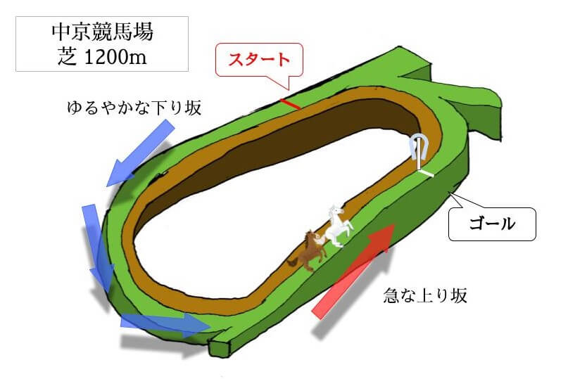 中京競馬場 芝1200mのコースで特徴を解説