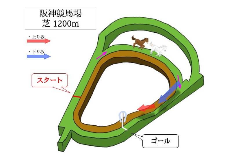 阪神競馬場 芝1200mのコースで特徴を解説