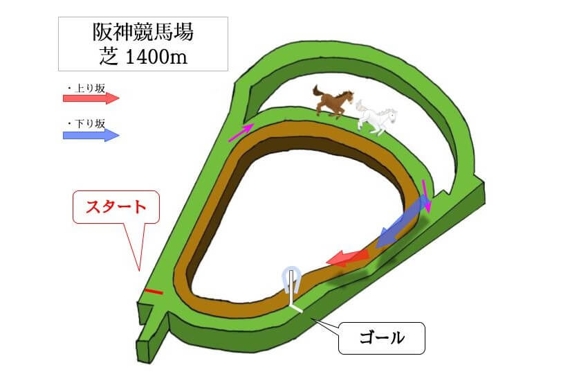 阪神競馬場 芝1400mのコースで特徴を解説