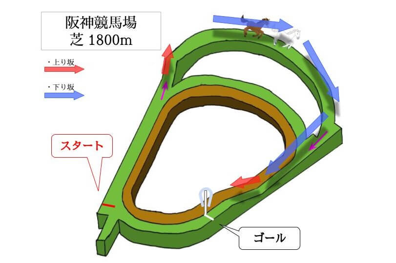 阪神競馬場 芝1800mのコースで特徴を解説