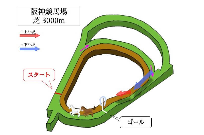阪神競馬場 芝3000mのコースで特徴を解説