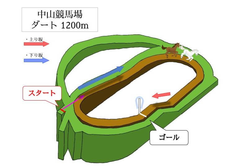 中山競馬場 ダート1200mのコースで特徴を解説