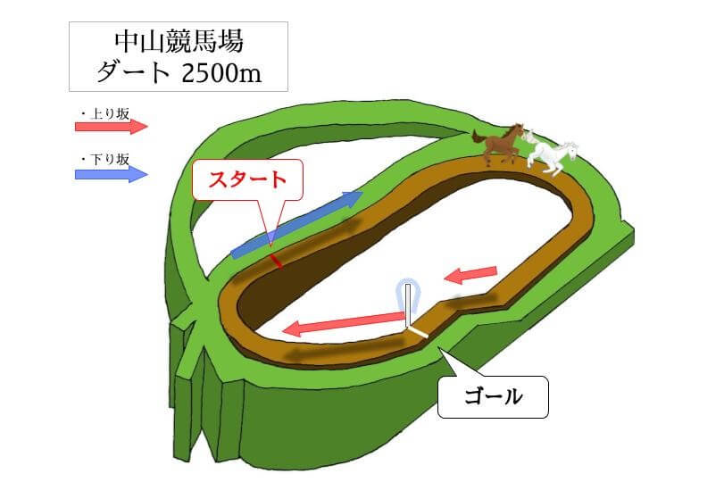 中山競馬場 ダート2500mのコースで特徴を解説