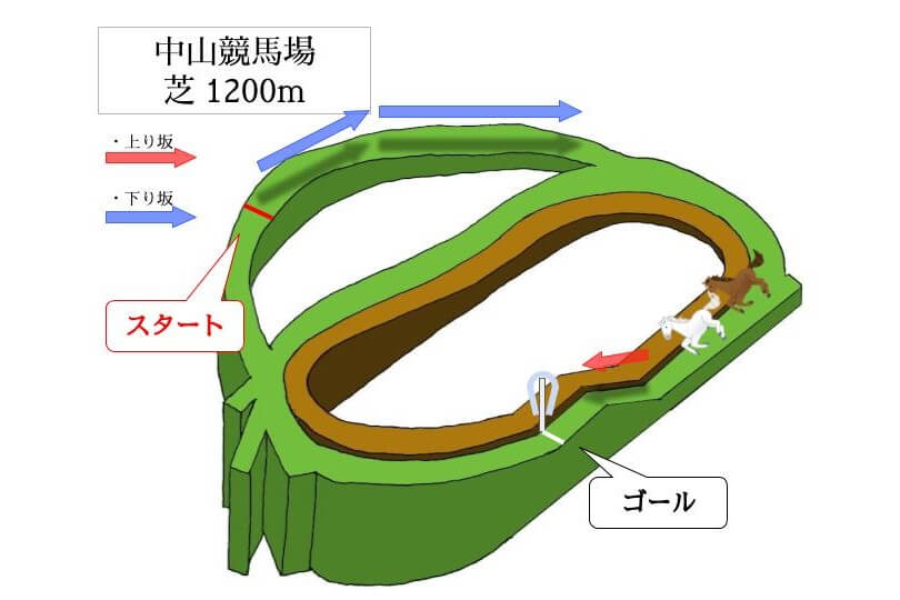 中山競馬場 芝1200mのコースで特徴を解説