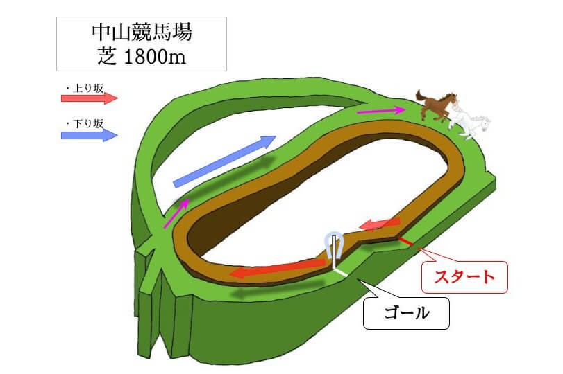 中山競馬場 芝1800mのコースで特徴を解説