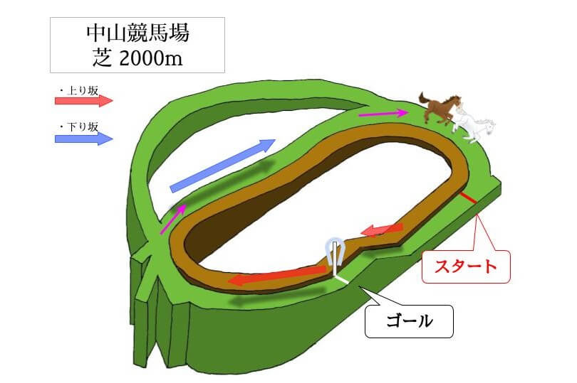中山競馬場 芝2000mのコースで特徴を解説