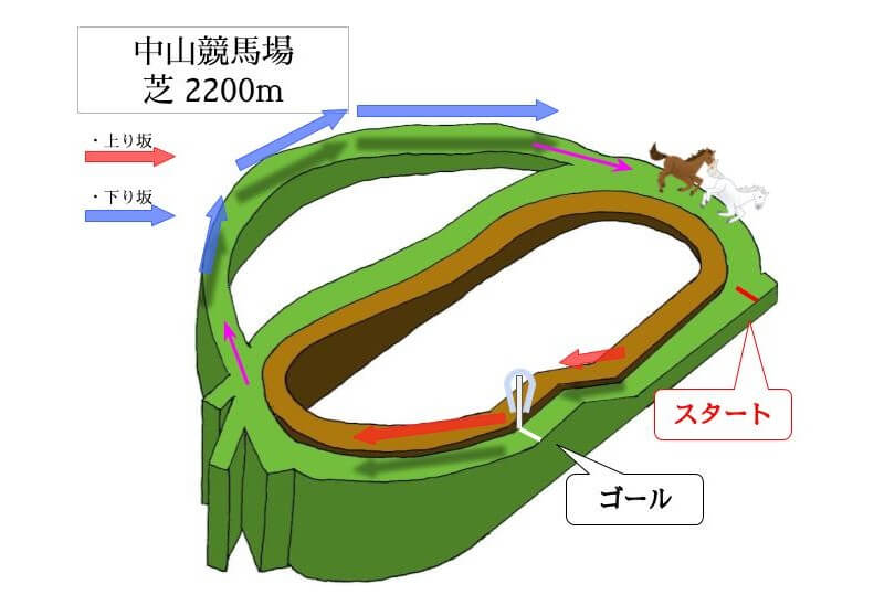 中山競馬場 芝2200mのコースで特徴を解説
