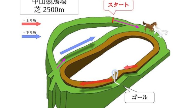 中山競馬場 芝2500mのコースで特徴を解説