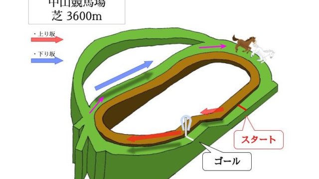 中山競馬場 芝3600mのコースで特徴を解説