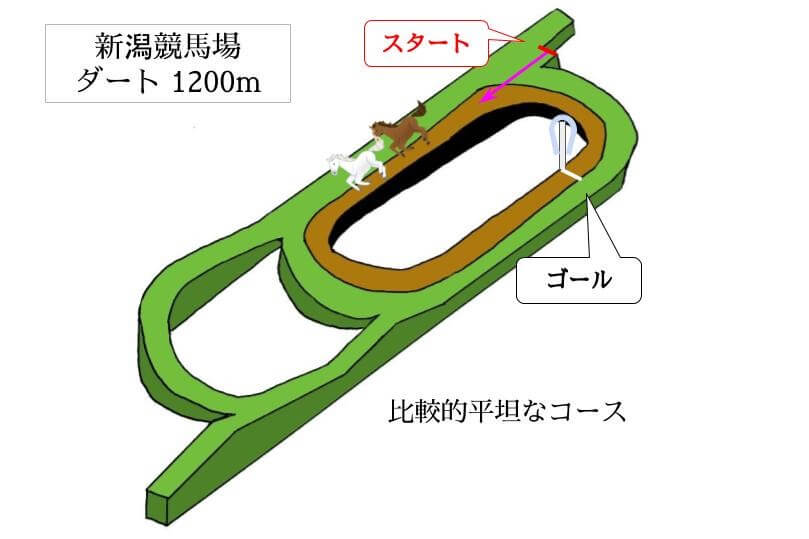 新潟競馬場 ダート1200mのコースで特徴を解説