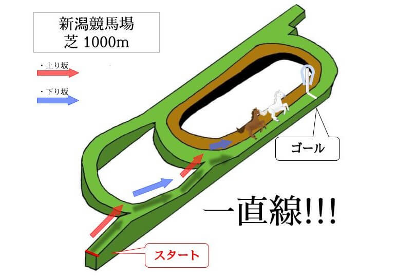 新潟競馬場 芝1000mのコースで特徴を解説