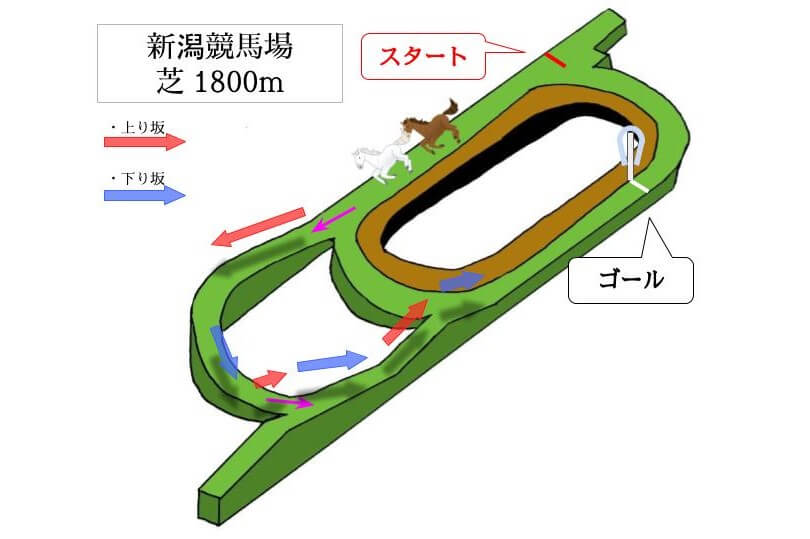 新潟競馬場 芝1800mのコースで特徴を解説