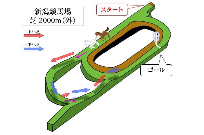 新潟競馬場 芝2000m（外）のコースで特徴を解説