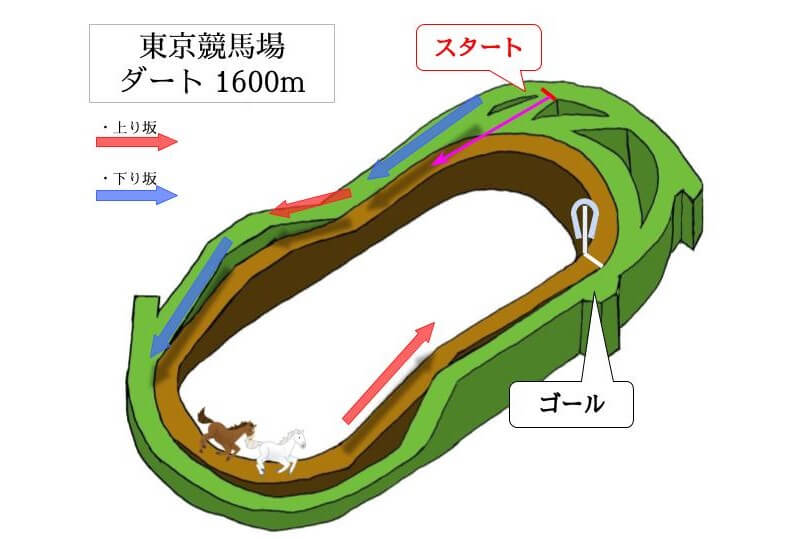 東京競馬場 ダート1600mのコースで特徴を解説
