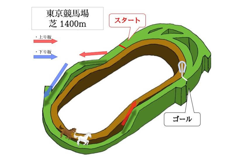 東京競馬場 芝1400mのコースで特徴を解説