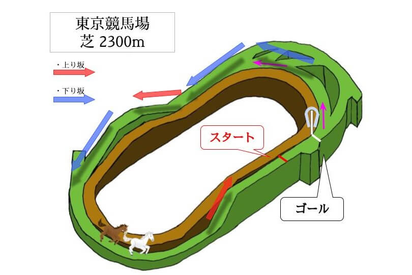 東京競馬場 芝2300mのコースで特徴を解説