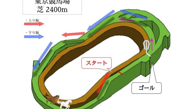 東京競馬場 芝2400mのコースで特徴を解説
