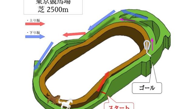 東京競馬場 芝2500mのコースで特徴を解説