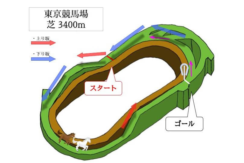 東京競馬場 芝3400mのコースで特徴を解説