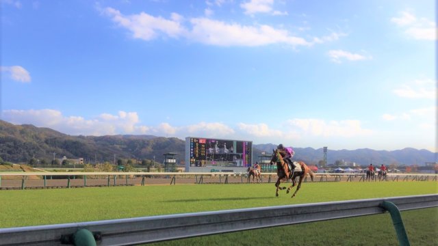 小倉競馬場を徹底解説 入場料は Wi Fiはある おすすめグルメは 子供連れの楽しみ方は うましる