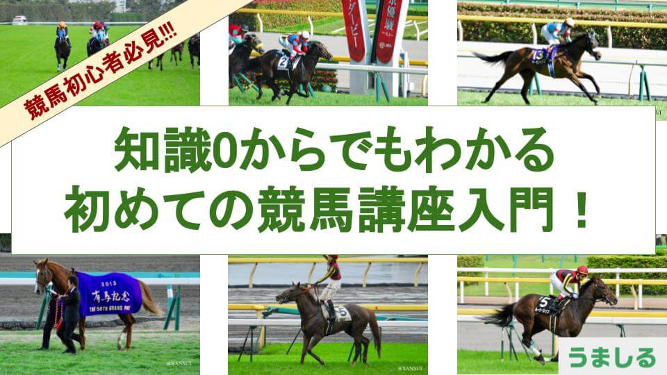 競馬初心者必見】知識0・初めての人でもわかる競馬のすべて｜競馬講座 ...