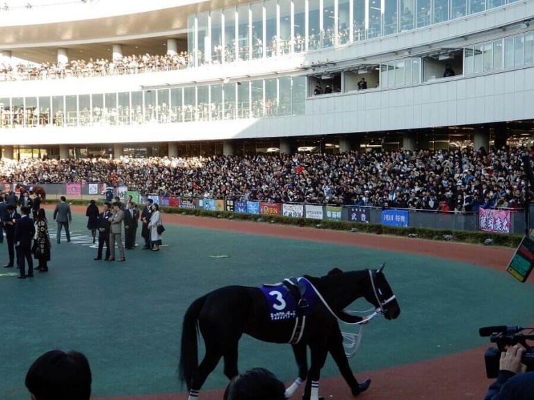 中京競馬場を徹底解説！入場料は？WiFiはある？おすすめグルメは？子供連れの楽しみ方は？ うましる