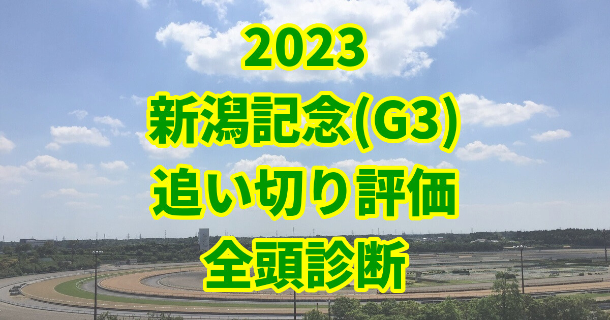 新潟記念2023追い切り評価記事のサムネイル画像