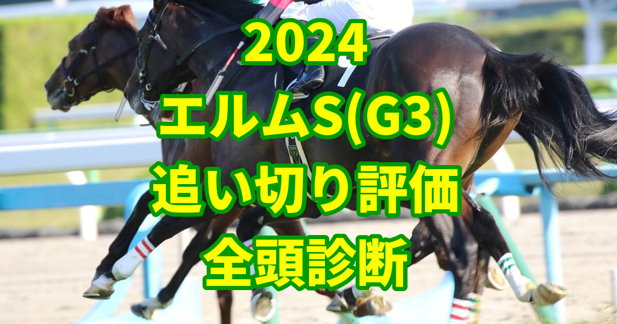 エルムステークス2024追い切り評価記事のサムネイル画像