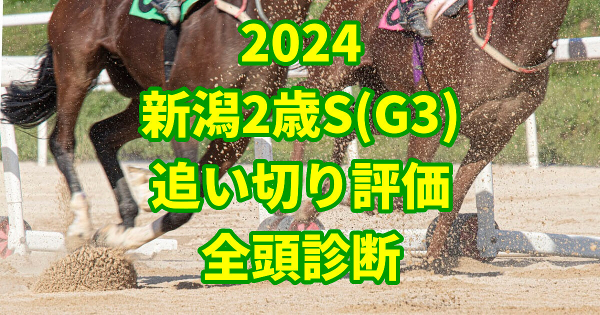 新潟2歳ステークス2024追い切り評価記事のサムネイル画像