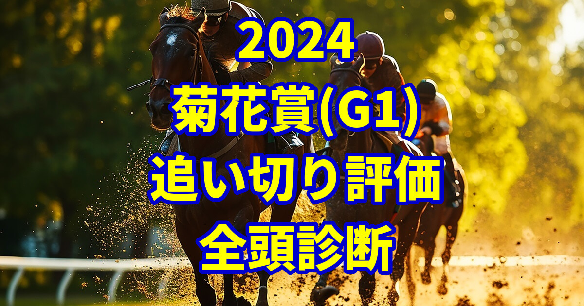 菊花賞2024追い切り評価記事のサムネイル画像