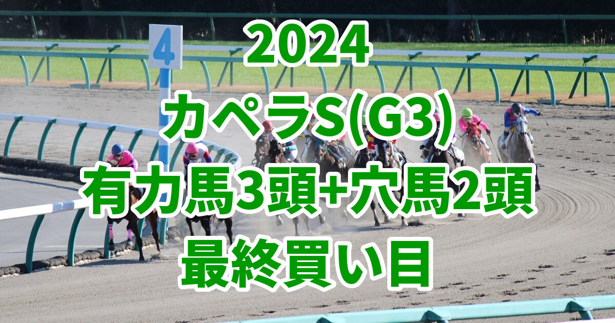 カペラステークス2024予想記事のサムネイル画像