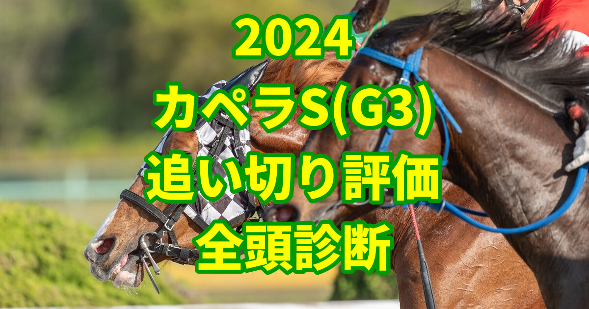 カペラステークス2024追い切り評価記事のサムネイル画像