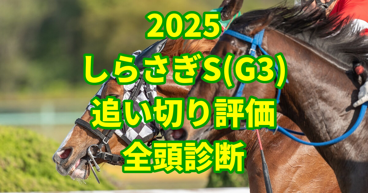しらさぎステークス2025追い切り評価記事のアイキャッチ画像
