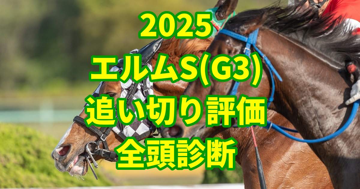 エルムステークス2025追い切り評価記事のアイキャッチ画像