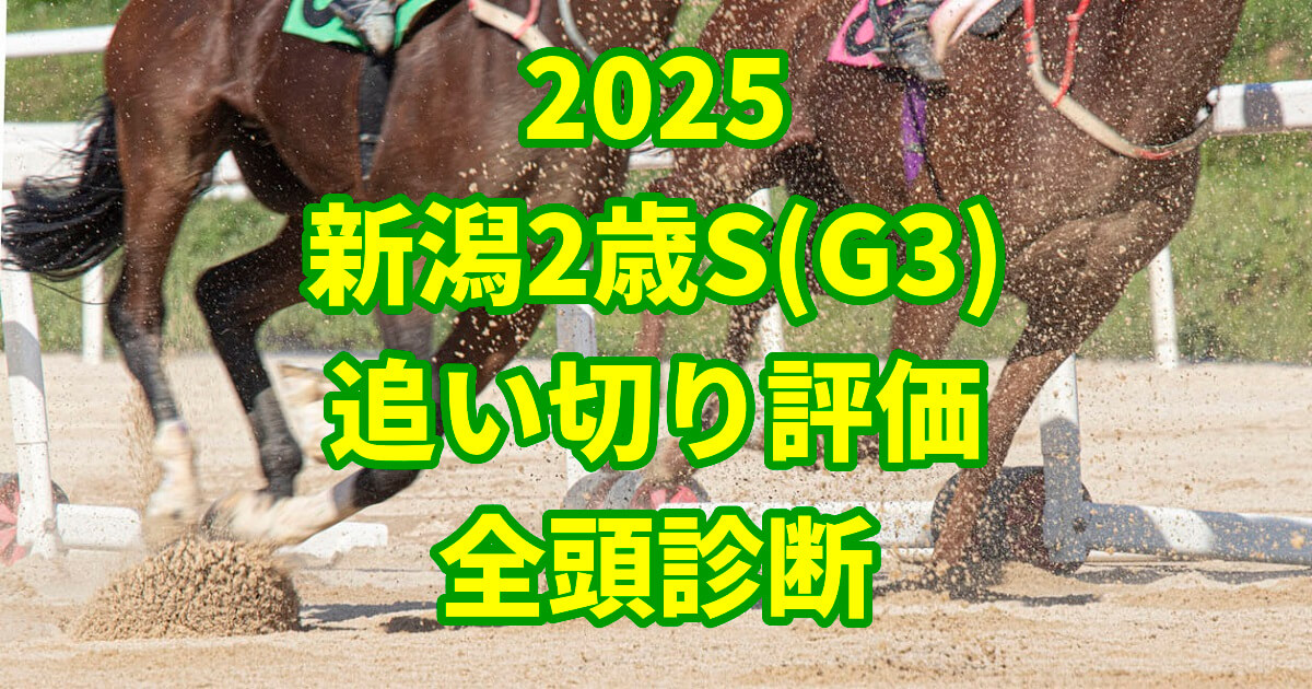 新潟2歳ステークス2025追い切り評価記事のアイキャッチ画像