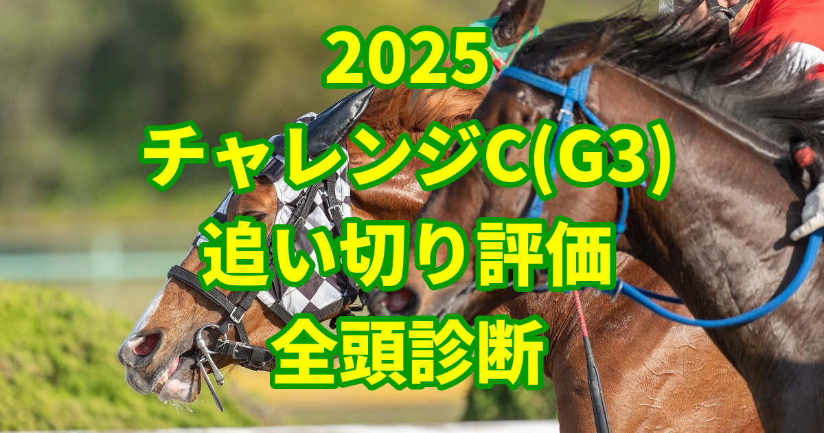 チャレンジカップ2025追い切り評価記事のアイキャッチ画像