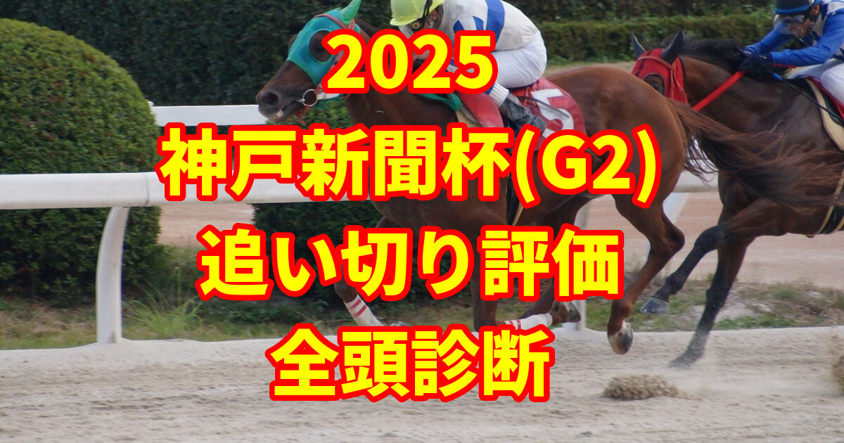神戸新聞杯2025追い切り評価記事のアイキャッチ画像