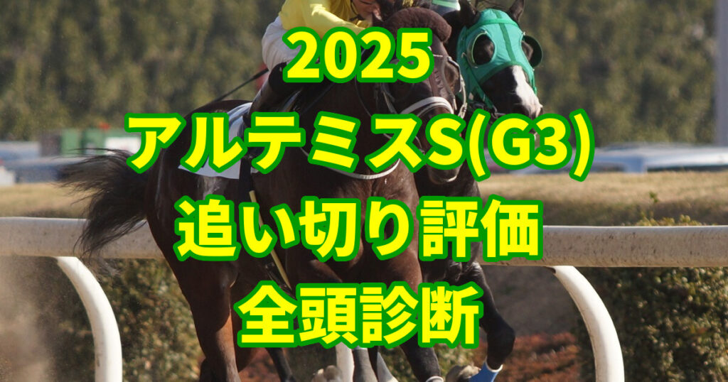 アルテミスステークス2025追い切り評価記事のアイキャッチ画像