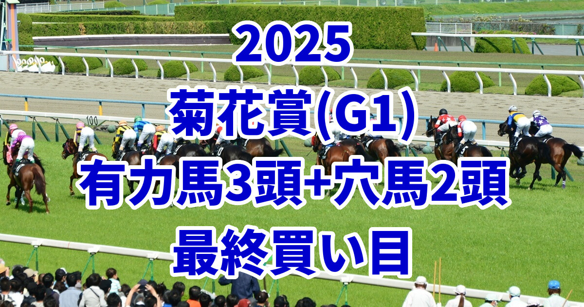 菊花賞2025予想記事のアイキャッチ画像