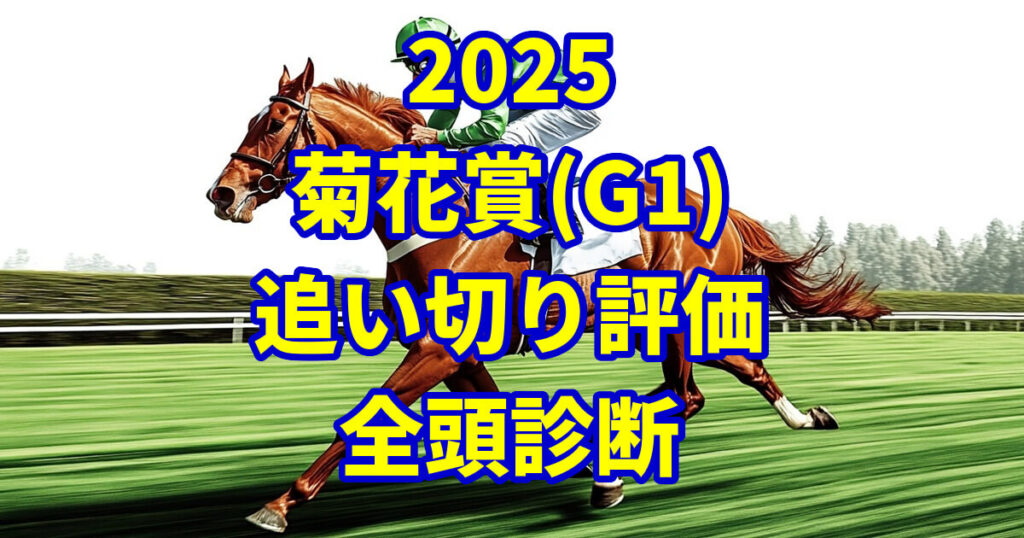 菊花賞2025追い切り評価記事のアイキャッチ画像