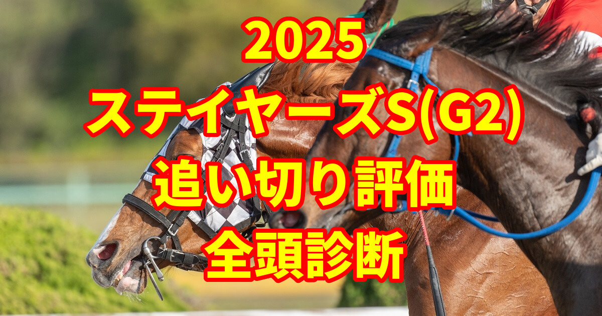 ステイヤーズステークス2025追い切り評価記事のアイキャッチ画像
