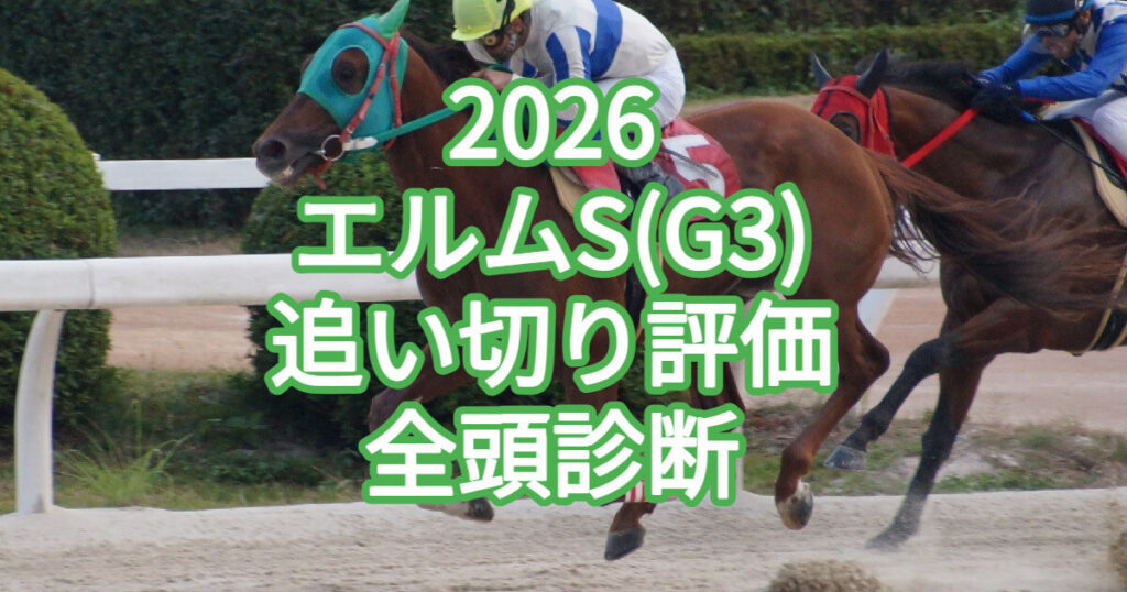 エルムステークス2026追い切り評価記事のアイキャッチ画像