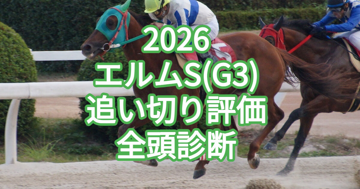 エルムステークス2026追い切り評価記事のアイキャッチ画像
