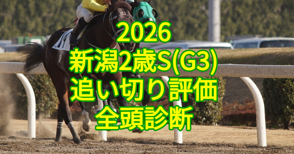 新潟2歳ステークス2026追い切り評価記事のアイキャッチ画像