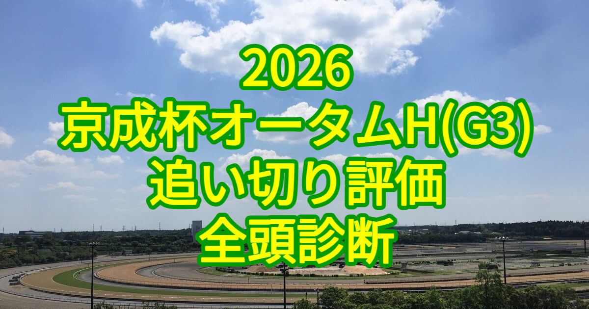 京成杯オータムハンデキャップ2026追い切り評価記事のアイキャッチ画像