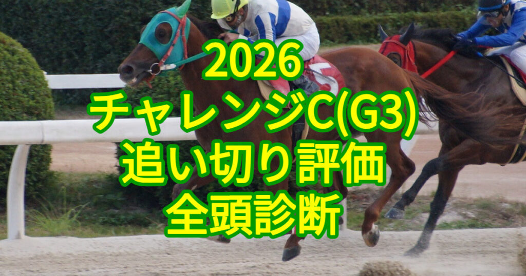 チャレンジカップ2026追い切り評価記事のアイキャッチ画像