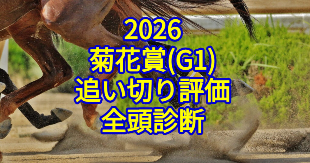 菊花賞2026追い切り評価記事のアイキャッチ画像