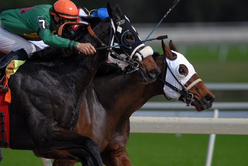 馬単とは ボックスではなく1着流しがおすすめ 正しい買い方 馬連との違いとは フォーメーションも うましる